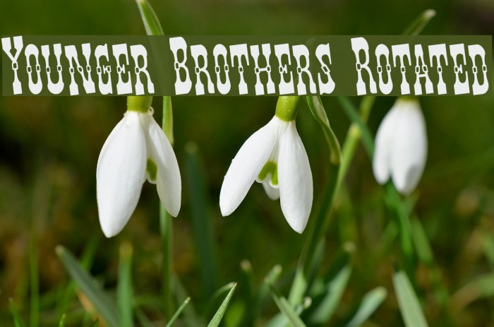 Younger Brothers Rotated Example 3