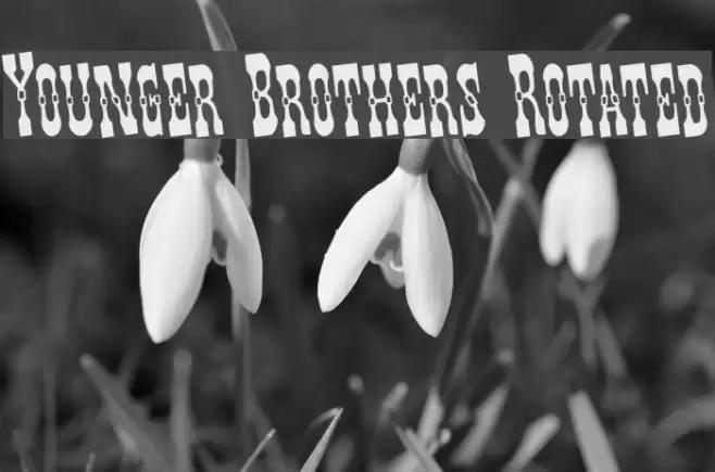 Younger Brothers Rotated Font examples