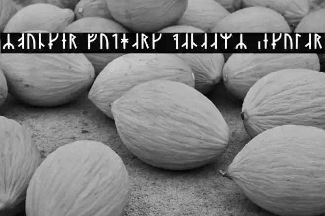 Younger Futhark Danaamy Regular Font examples