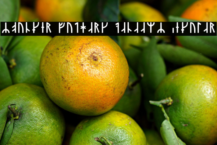 Younger Futhark Danaamy Regular Example 2