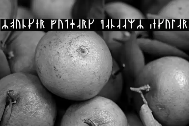 Younger Futhark Danaamy Regular Font examples