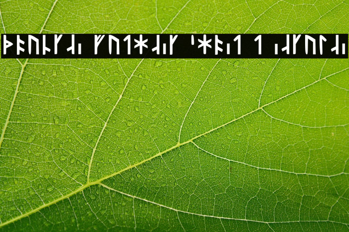 Younger Futhark Short T Regular Example 1