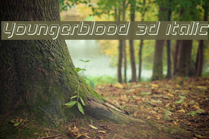 Youngerblood 3D Italic Font examples