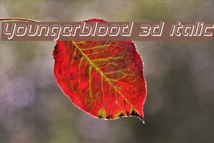 Youngerblood 3D Italic Font examples