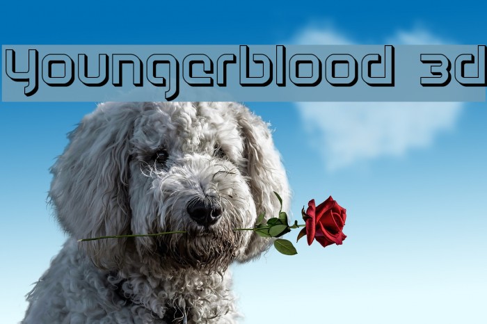 Youngerblood 3D Font examples