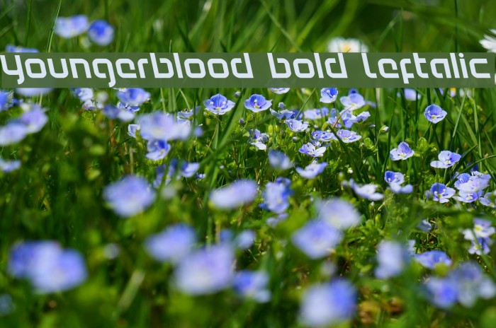 Youngerblood Bold Leftalic Font examples