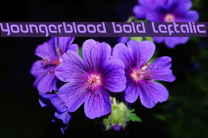 Youngerblood Bold Leftalic Font examples