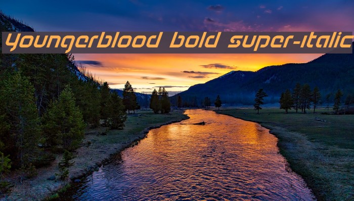 Youngerblood Bold Super-Italic Example 1