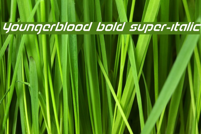 Youngerblood Bold Super-Italic Example 3