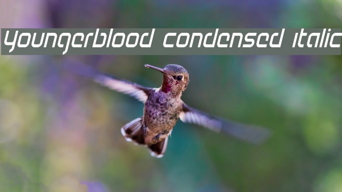 Youngerblood Condensed Italic Font examples