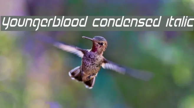 Youngerblood Condensed Italic Example 1