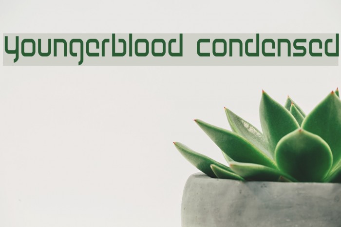Youngerblood Condensed Example 2