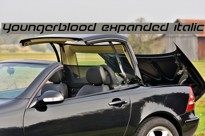 Youngerblood Expanded Italic Example 2