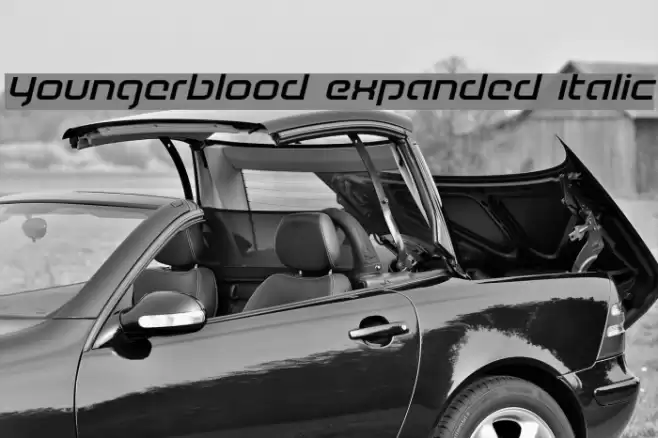 Youngerblood Expanded Italic Font examples