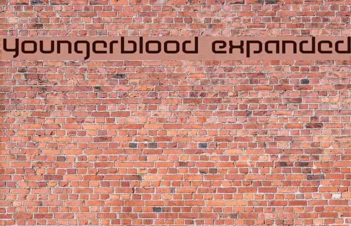Youngerblood Expanded Font examples
