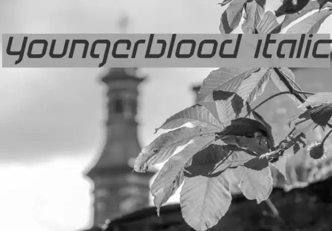 Youngerblood Italic Font examples