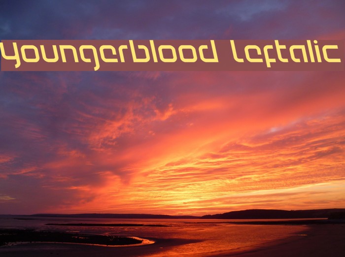 Youngerblood Leftalic Font examples