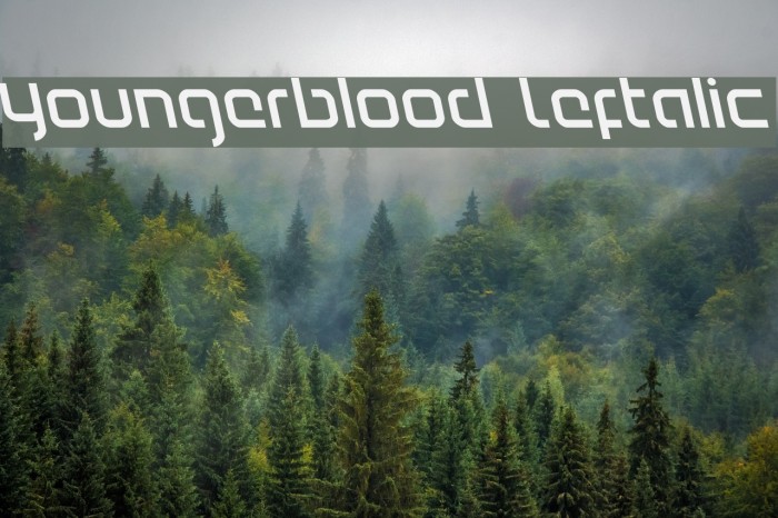 Youngerblood Leftalic Font examples