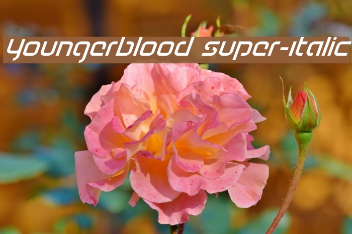 Youngerblood Super-Italic Example 2