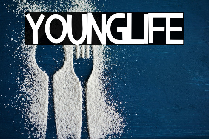 Younglife Example 2