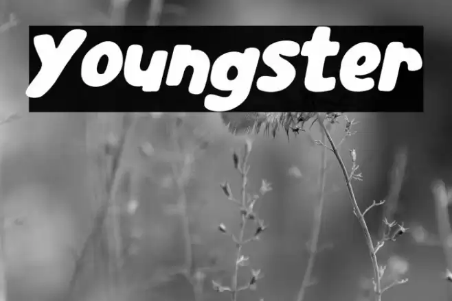 Youngster Font examples