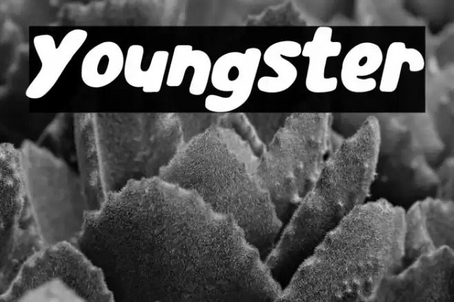Youngster Font examples