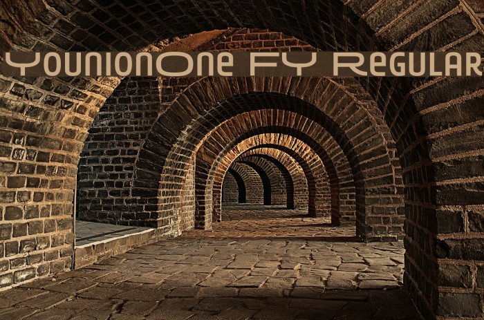 YounionOne FY Regular Font examples
