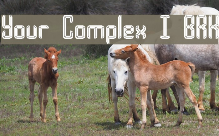Your Complex I BRK フォント examples