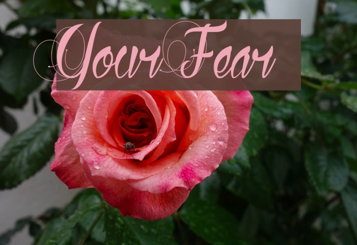 Your Fear Font examples