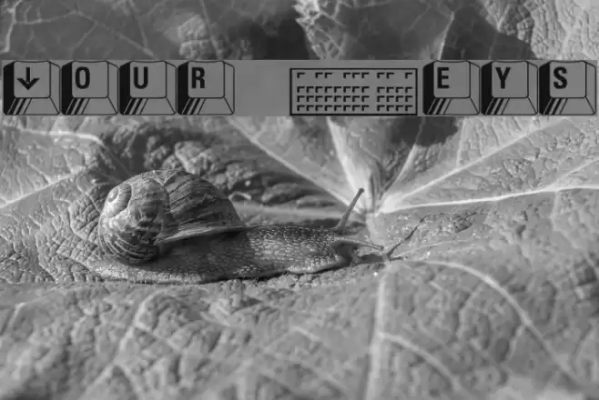 Your Keys Font examples