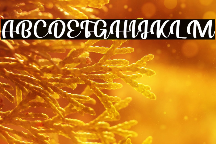 Your Love Tonight Example 3