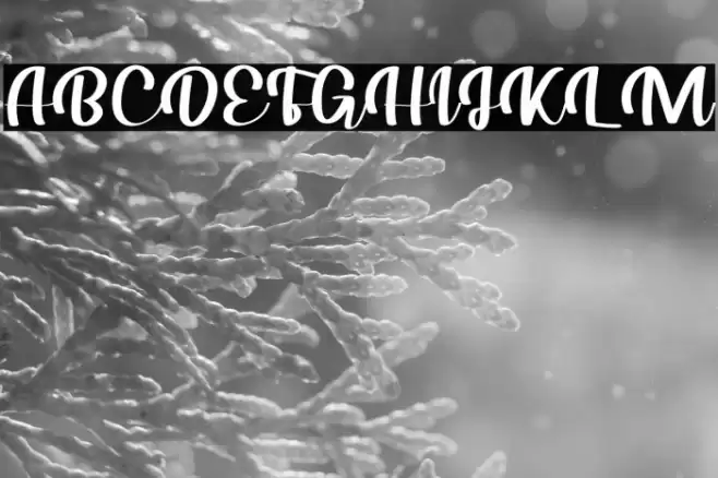 Your Love Tonight Font examples