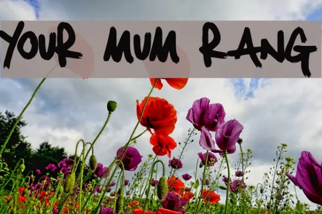 Your Mum Rang Example 2
