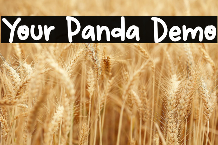Your Panda Demo Example 1