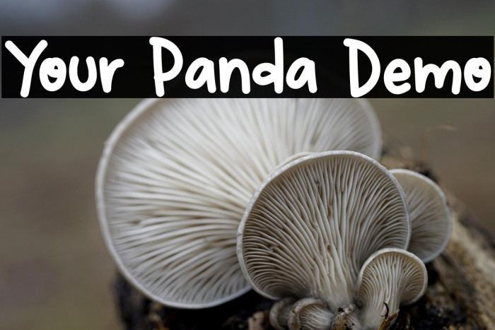 Your Panda Demo Example 2