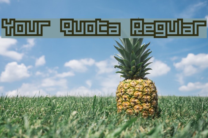 Your Quota Regular Example 3