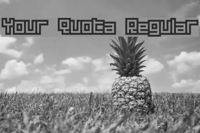 Your Quota Regular Font examples