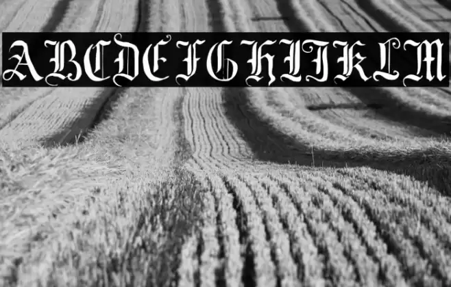 Your Royal Majesty Font examples