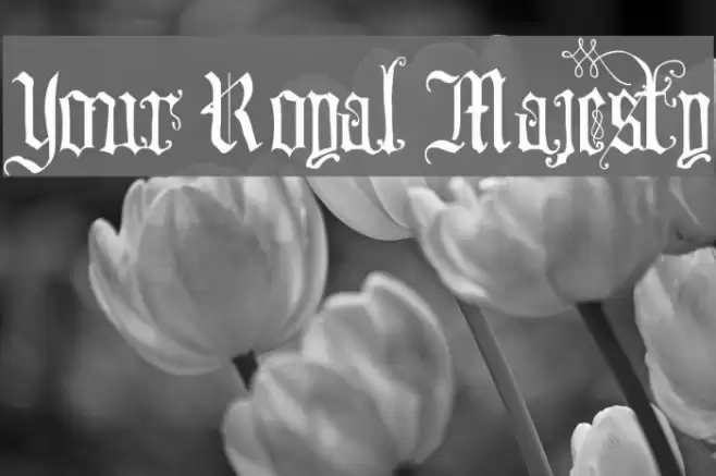 Your Royal Majesty Font examples