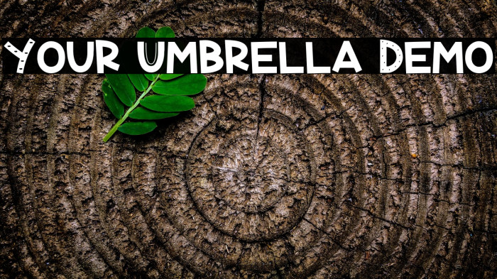 Your Umbrella Demo Example 2