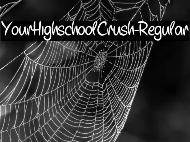 YourHighschoolCrush-Regular Font examples