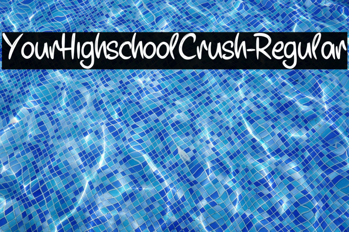 YourHighschoolCrush-Regular Example 2