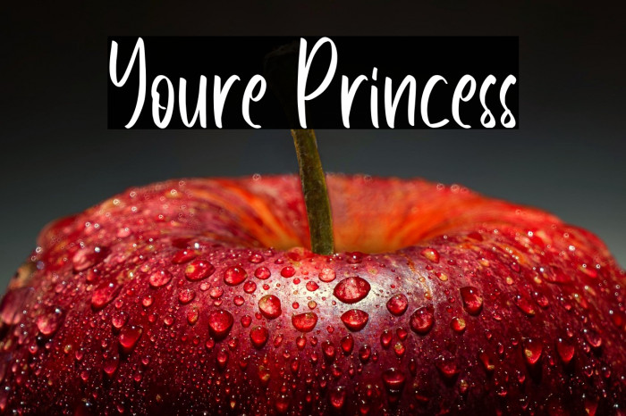 Youre Princess Example 3