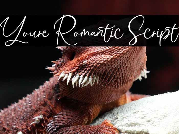 Youre Romantic Script Example 1