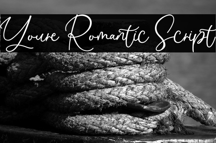 Youre Romantic Script Example 3