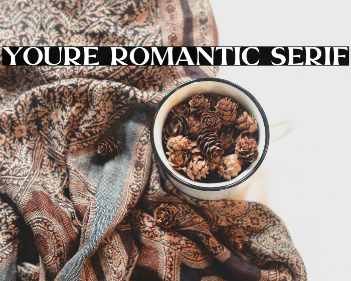 Youre Romantic Serif Example 1
