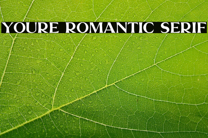 Youre Romantic Serif Example 2