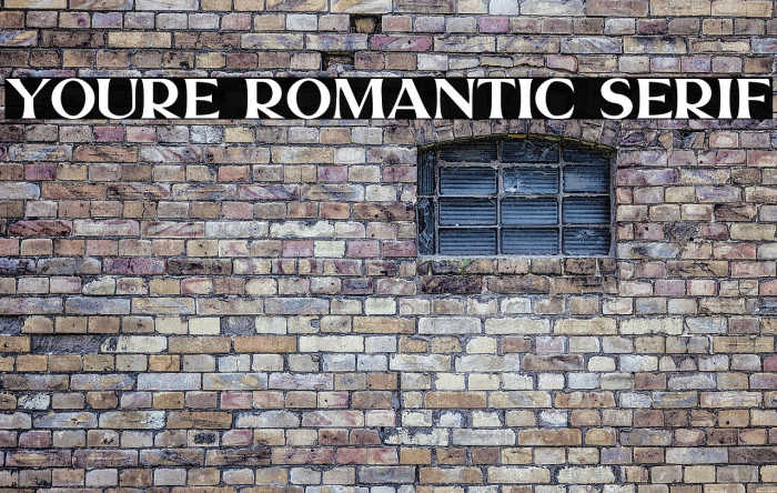 Youre Romantic Serif Example 3