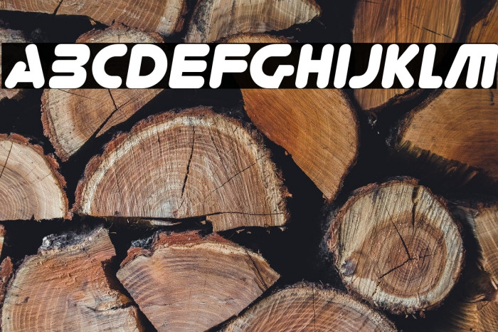 YoureGone-Italic Example 1