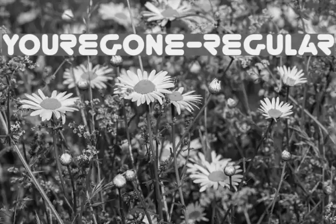 YoureGone-Regular Font examples